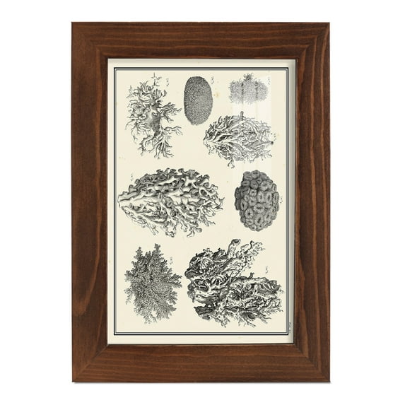 Aegean Collection IV -Framed Print w/glass-Chestnut