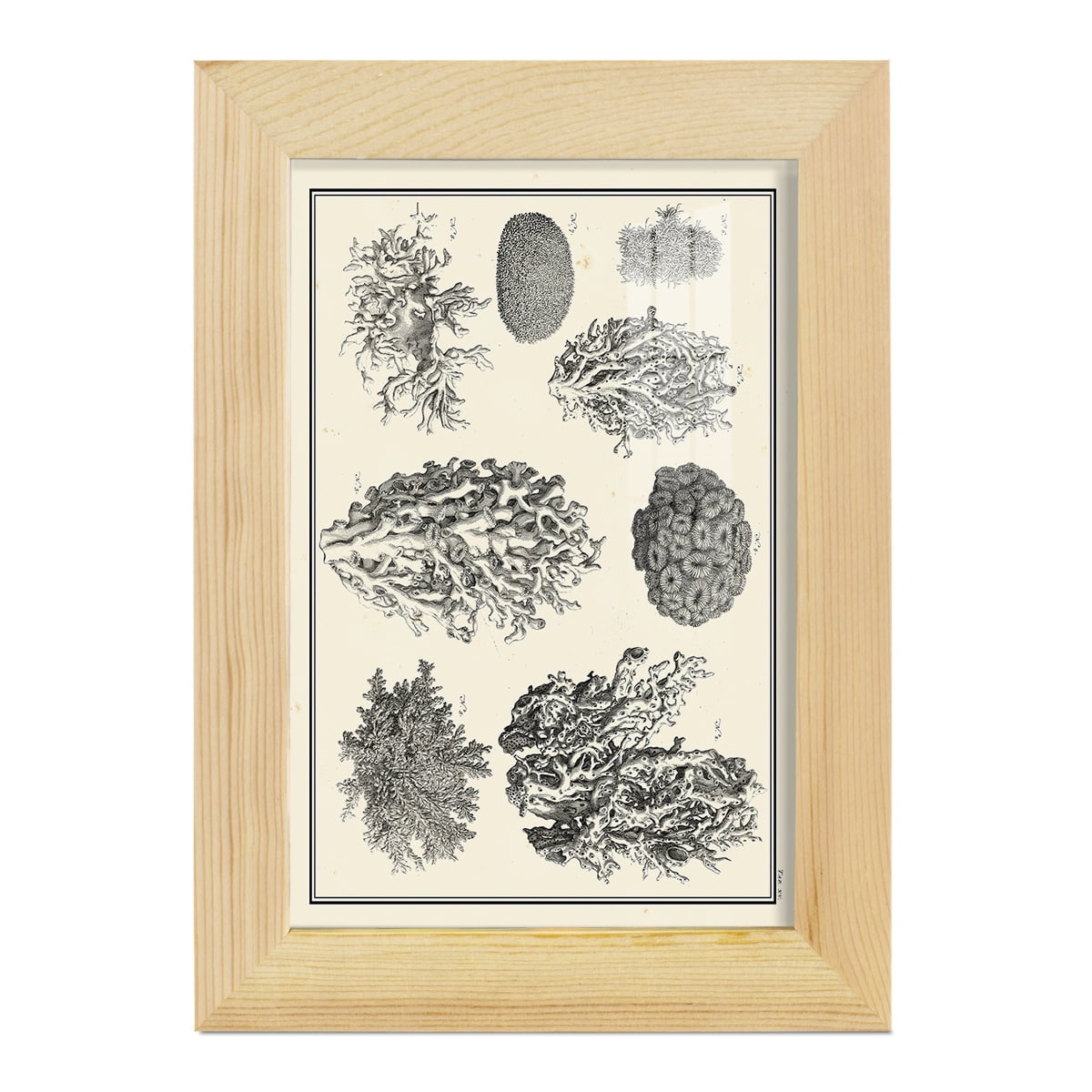 Aegean Collection IV -Framed Print w/glass-Natural Wood