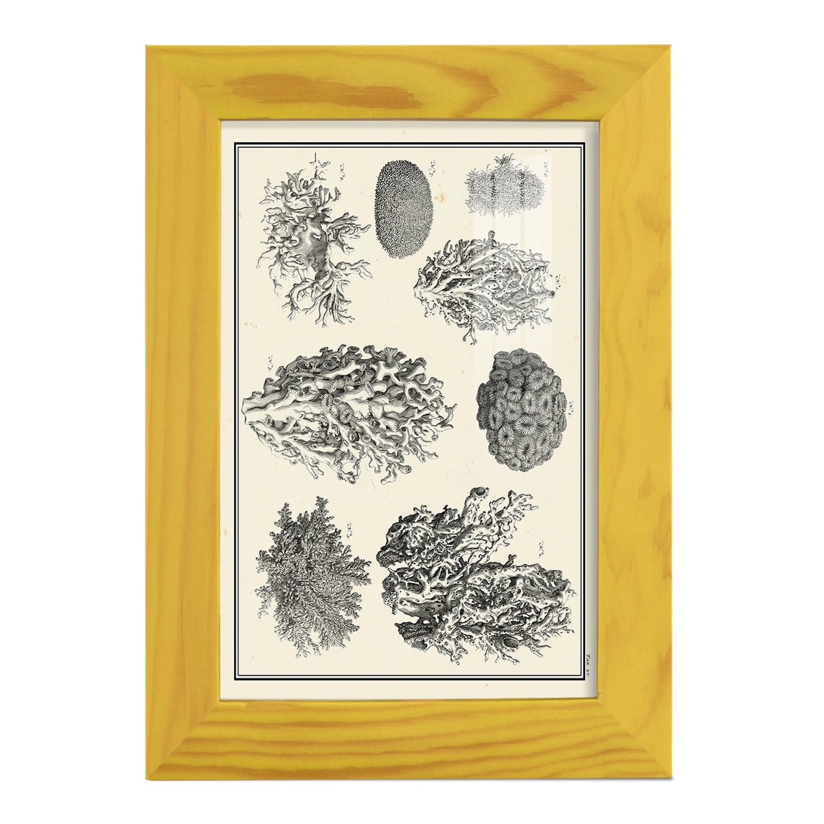 Aegean Collection IV -Framed Print w/glass-Sunflower Yellow