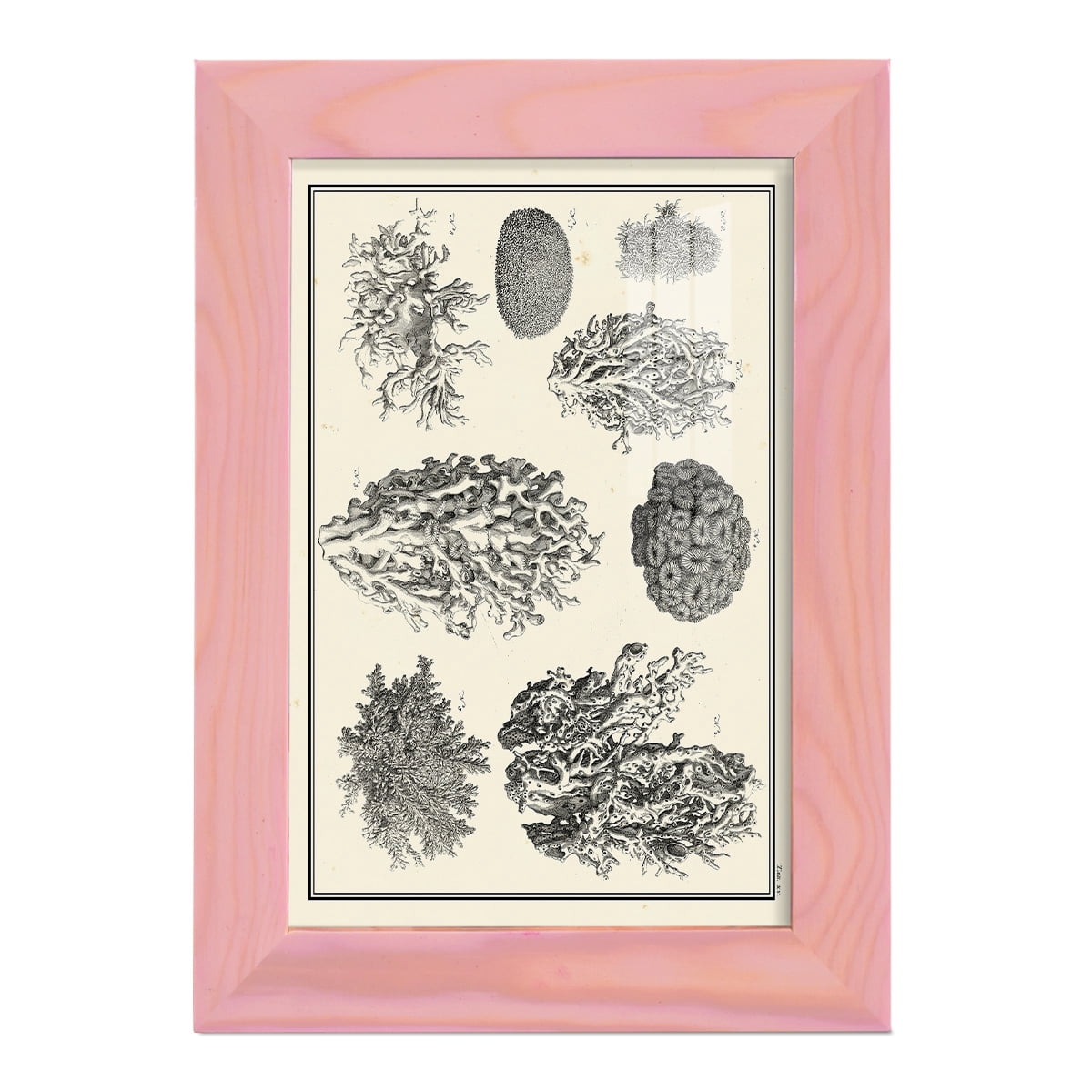 Aegean Collection IV -Framed Print w/glass-Sunset Pink
