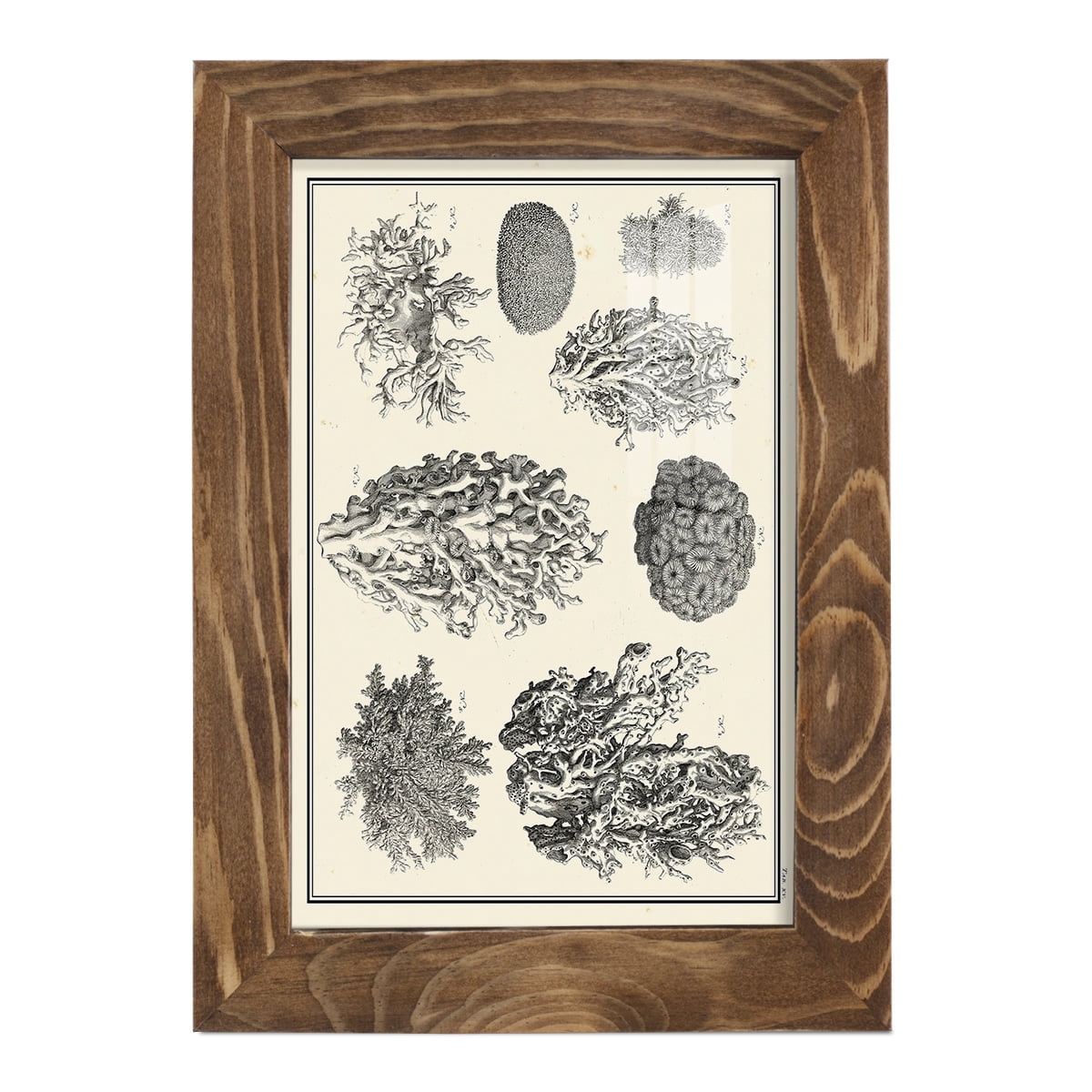 Aegean Collection IV -Framed Print w/glass-Walnut