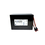 Aegis Battery 10Ah Power Battery for Ebikes Robots