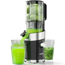Omega Juicer J9000 Commercial Home Fruit Juicer Walmart