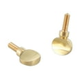 thumbnail image 1 of Aellinatey 2Pcs Saxophone Neck Screws for Soprano Altos Tenors Saxophone Neck Parts, 1 of 10