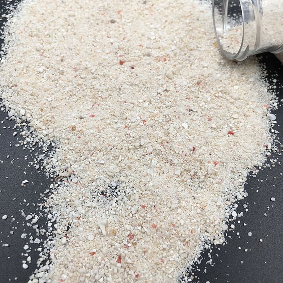 Aellinatey Natural Seashell Starfish Stone Sand DIY Crafts Decor Epoxy Resin Fillers