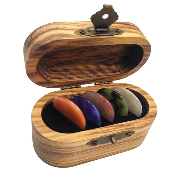 Aellinatey Set of 5 Thickness Guitar Picks Resin Wood Texture Storage Box Set Colorful Guitar Plectrums Perfect for Musicians