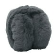 thumbnail image 1 of Aellinatey Teens Girl Boys Ear Muff Lovely Furry Ear Protectors Outdoor Sports Ear Muffs, 1 of 21