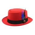 thumbnail image 1 of Aellinatey Unisex Solid Color Fedora Hat Womens Feathers Jazzs Top Hat Winter Panama Hat, 1 of 20