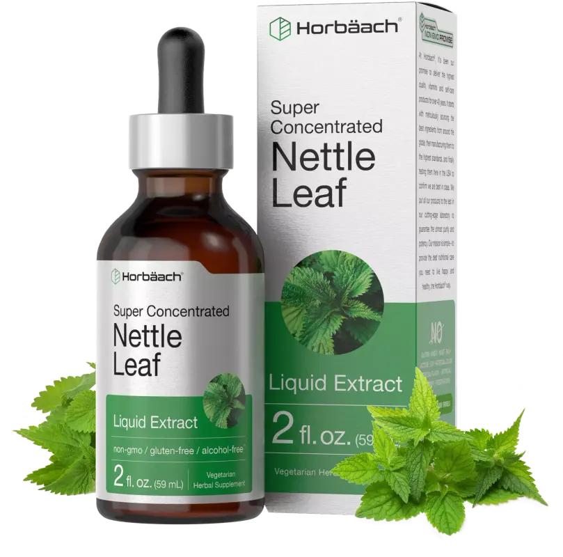 Aelona Nettle Leaf Liquid Extract 2 fl oz Alcohol Free Vegetarian