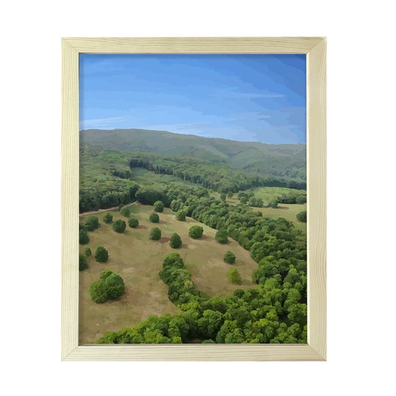 Aerial Forest Valley Scene, 11 x 14 Wooden Framed Print Sign Easy Installation | Beautiful Trees | Stylish Modern Decoration For The Home and Office