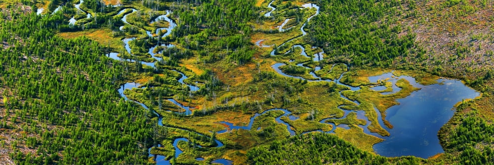 Aerial Of A Wetland Over Northern Quebec Canvas Art - Mathieu Dupuis Design Pics (24 x 8)