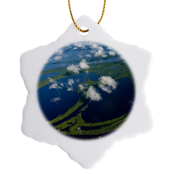 3drose, Aerial of Amazon River Basin with Meandering Waterways, Manaus, Brazil, 3 inch Snowflake Porcelain Ornament