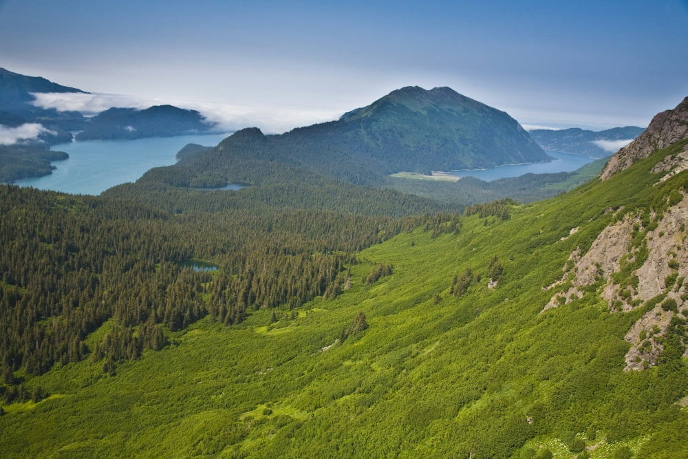 Aerial View Of Alpine Area In Kachemak Bay State Park Showing Tutka Bay (L) Grace Ridge And Sadie Cove (R) Near Homer Alaska Kenai Penninsula Summer Canvas Art - Jeff Schultz Design Pics (38 x 24)