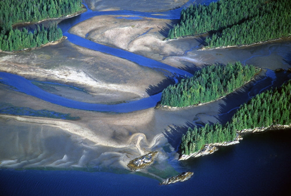 Aerial View Of Manzanita River Delta At Low Tide East Behm Canal Misty Fiords National Monument Wilderness Southeast Alaska Canvas Art - Chip Porter Design Pics (17 x 11)