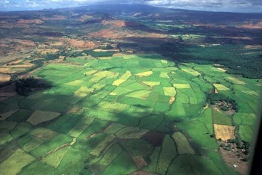 Aerial View of Fields in Northern Madagascar Canvas Art - Michele Molinari DanitaDelimont (18 x 12)
