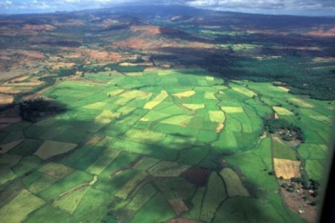 Aerial View of Fields in Northern Madagascar Canvas Art - Michele Molinari DanitaDelimont (36 x 25)