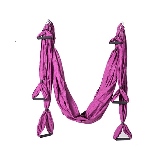 Aerial Yoga Hammock Swing - 210T Nylon Anti-Gravity Yoga Sling For Inversion Therapy & Core Training, Heavy Duty Fitness Trapeze For Home Gym (250" X 150", Up To 440 LBS),Purple