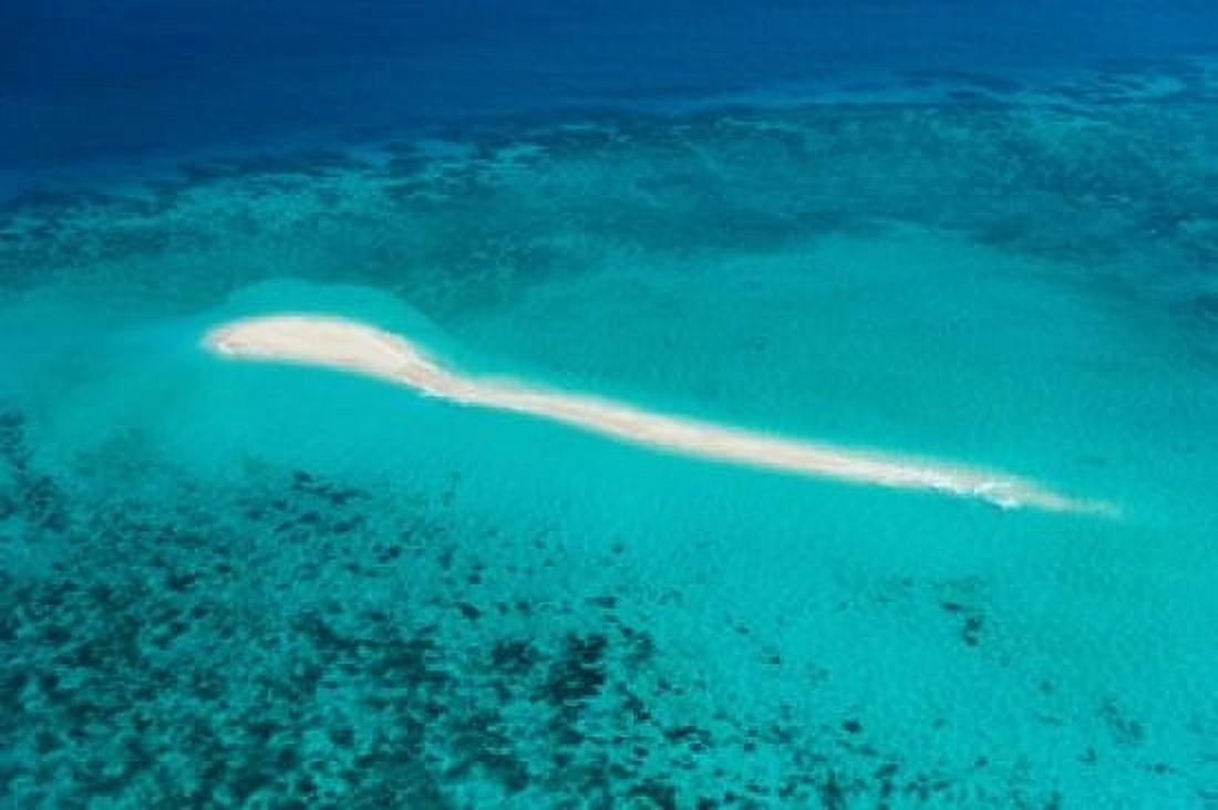 Aerial view of Coral Reef Great Barrier Reef Queensland Australia Canvas Art - Panoramic Images (36 x 24)