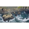 thumbnail image 1 of Aerial view of a coast, San Luis Obispo County, California, USA Poster Print (12 x 7), 1 of 1