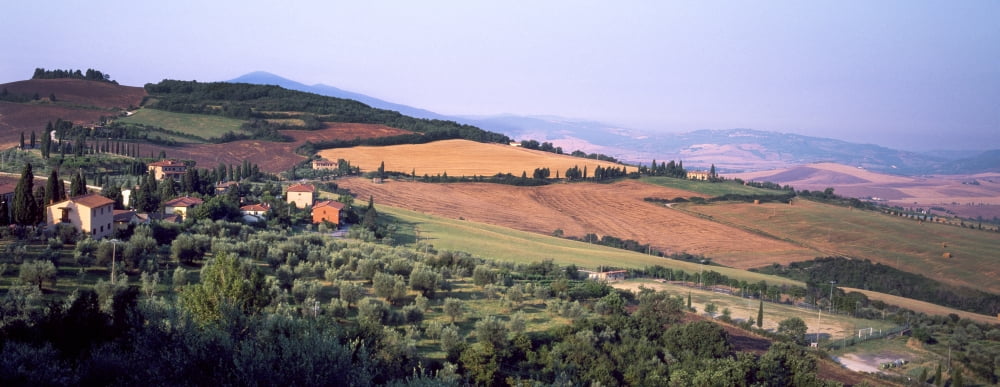 Aerial view of a field Monticchiello Pienza Siena Province Tuscany Italy Canvas Art - Panoramic Images (32 x 12)