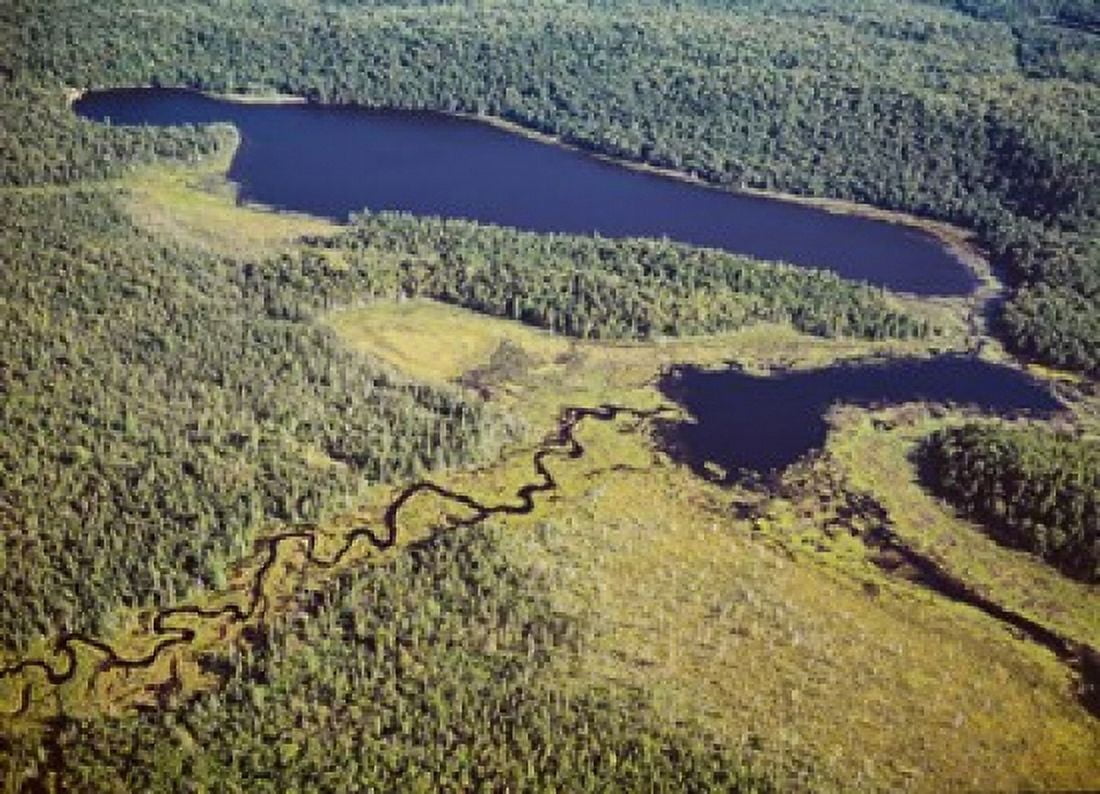 Aerial view of a lake Algonquin Provincial Park Ontario Canada Canvas Art - Panoramic Images (36 x 27)