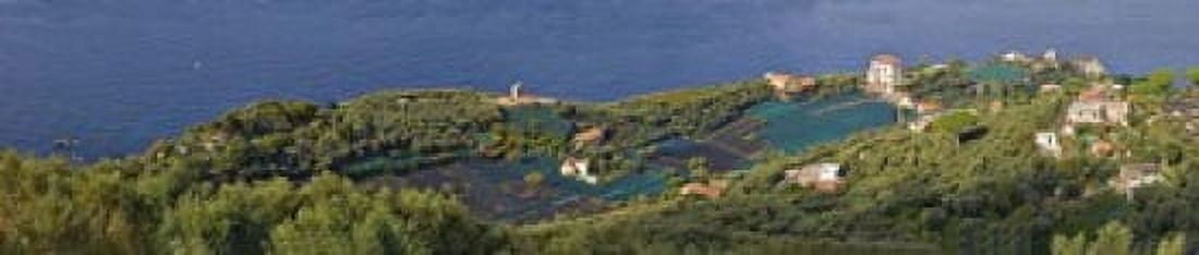 Aerial view of a town Villa Angelina Massa Lubrense Campania Italy Canvas Art - Panoramic Images (22 x 5)