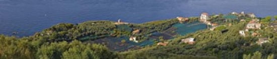 Aerial view of a town Villa Angelina Massa Lubrense Campania Italy Canvas Art - Panoramic Images (44 x 10)
