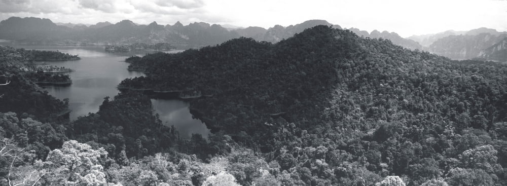 Aerial view of a valley Kao Sok National Park Surat Thani Province Thailand Canvas Art - Panoramic Images (36 x 12)