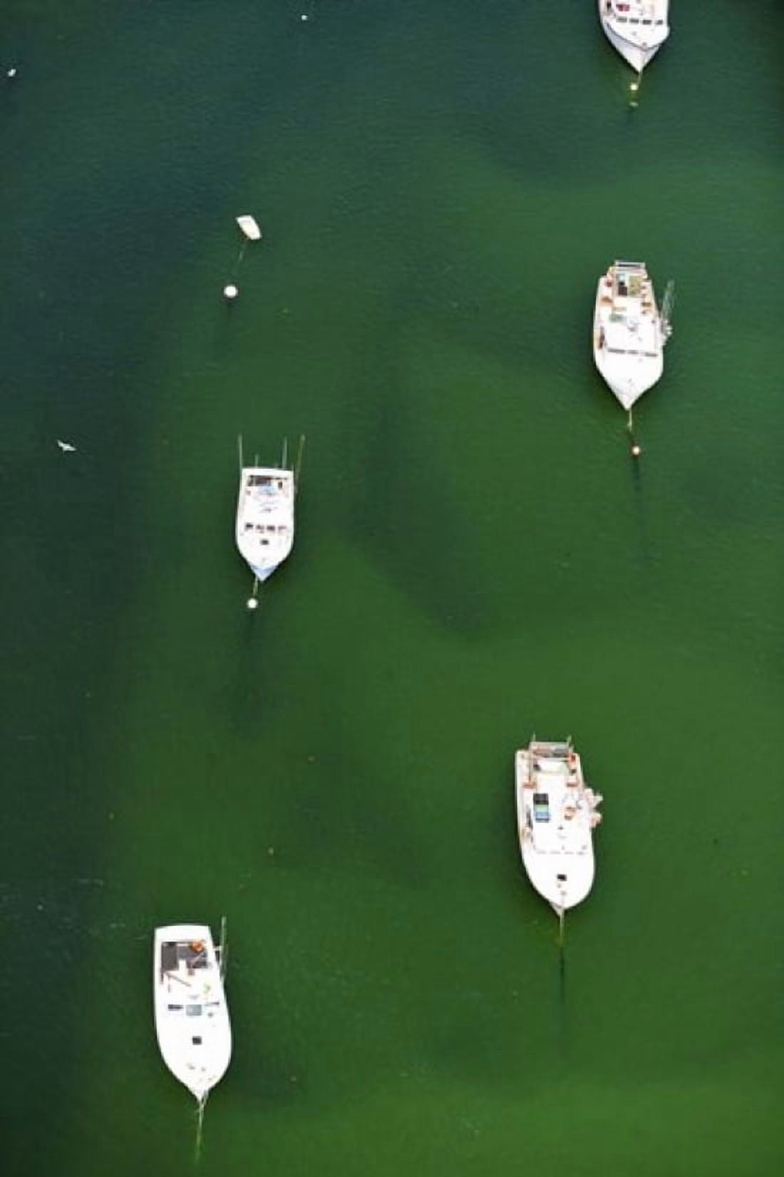 Aerial view of boats in the sea Cape Cod Barnstable County Massachusetts USA Canvas Art - Panoramic Images (24 x 36)