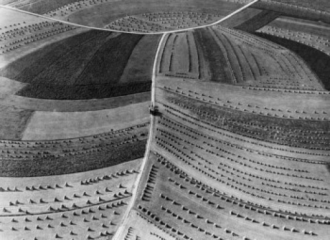Aerial view of fields Canvas Art - (18 x 24)