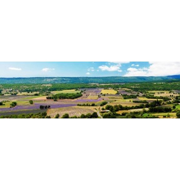 Aerial view of fields, Provence-Alpes-Cote d'Azur, France Poster Print (36 x 12)