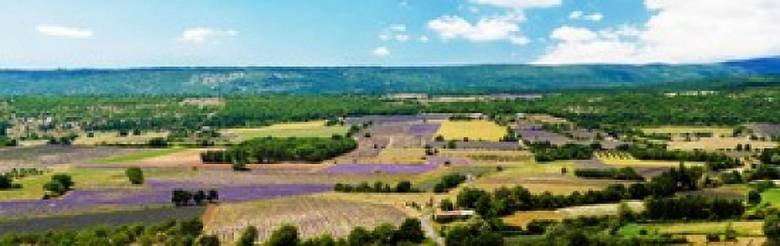 Aerial view of fields Provence-Alpes-Cote dAzur France Canvas Art - Panoramic Images (36 x 12)