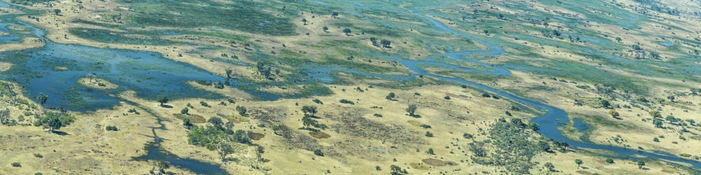 Aerial view of landscape Chitabe Okavango Delta Botswana Canvas Art - Panoramic Images (48 x 12)