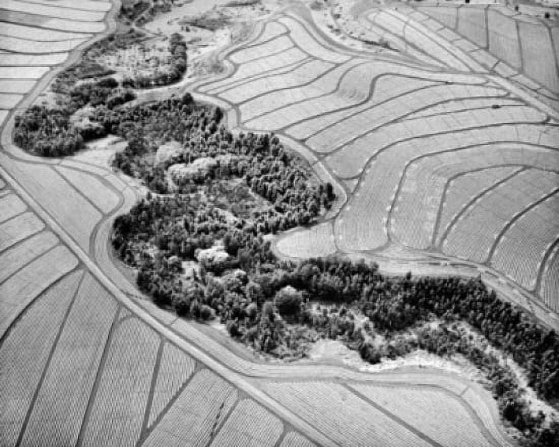 Aerial view of pineapple fields Canvas Art - (18 x 24)