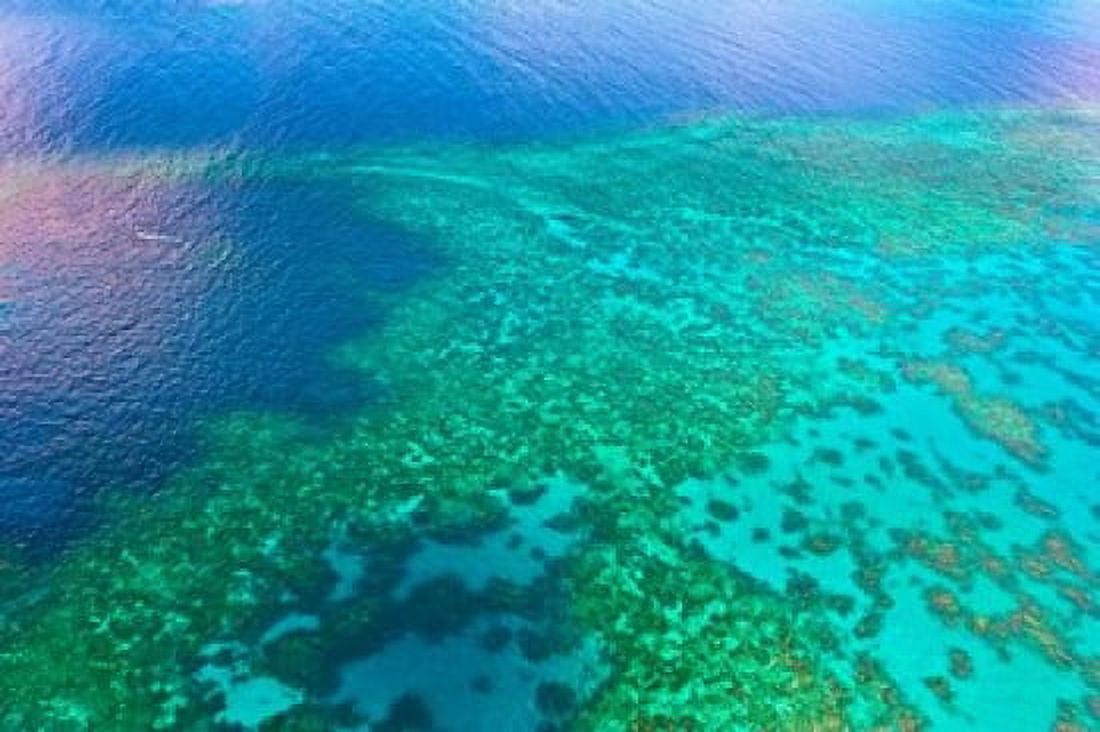 Aerial view of the Great Barrier Reef Queensland Australia Canvas Art - Miva Stock DanitaDelimont (26 x 17)