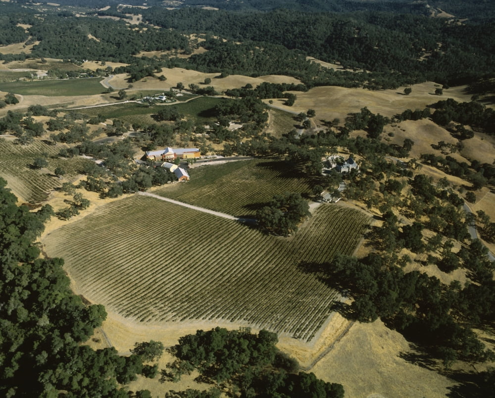 Aerial view of the Paso Robles Wine Country California USA Canvas Art - Panoramic Images (28 x 22)