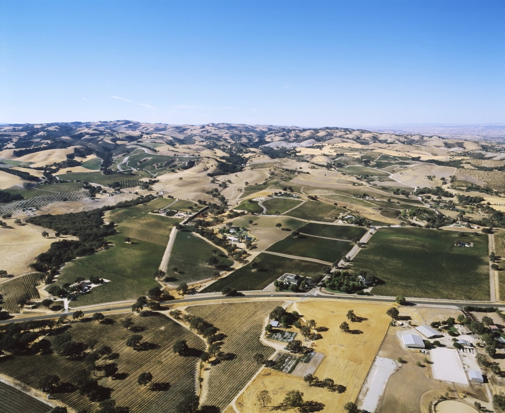 Aerial view of the Paso Robles Wine Country California USA Canvas Art - Panoramic Images (36 x 12)