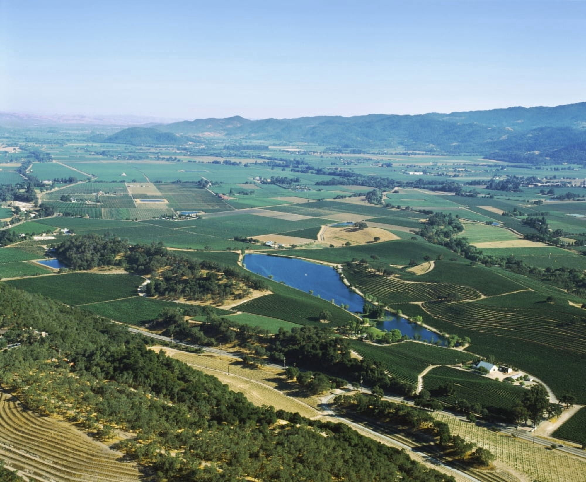 Aerial view of vineyards in Napa Valley California USA Canvas Art - Panoramic Images (12 x 36)