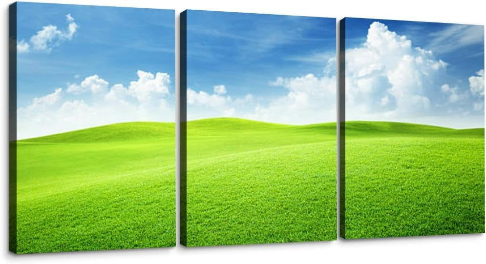 Aerial view above rural fields and Rauma river landscape Norway top 3