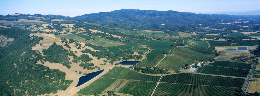 Aerial view of vineyards with Sonoma Mountains in the background Kunde Estate Winery Sonoma Valley California USA Canvas Art - Panoramic Images (27 x 9)