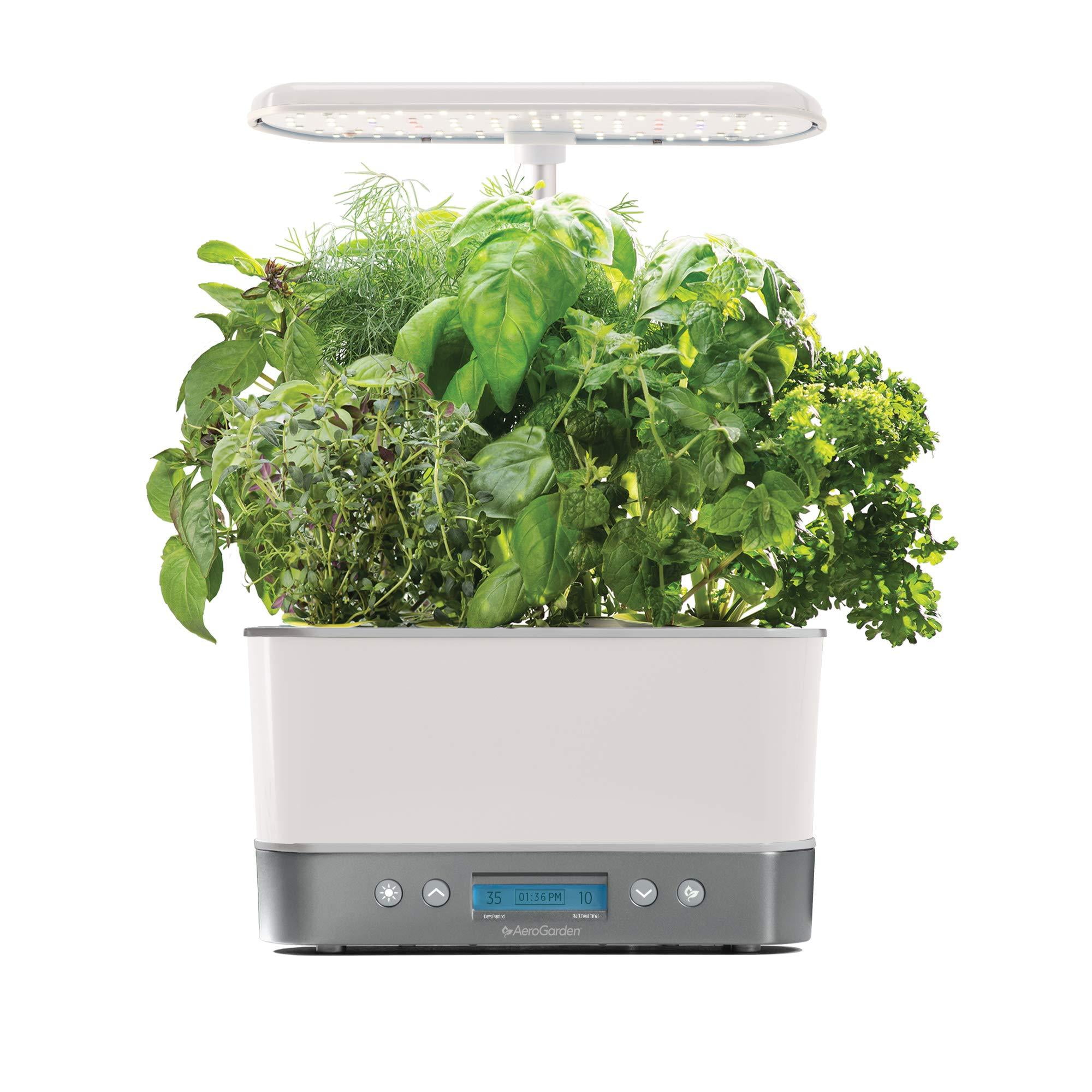 Stainless Steel Indoor Hydroponic Garden with LED Light and Herb Kit