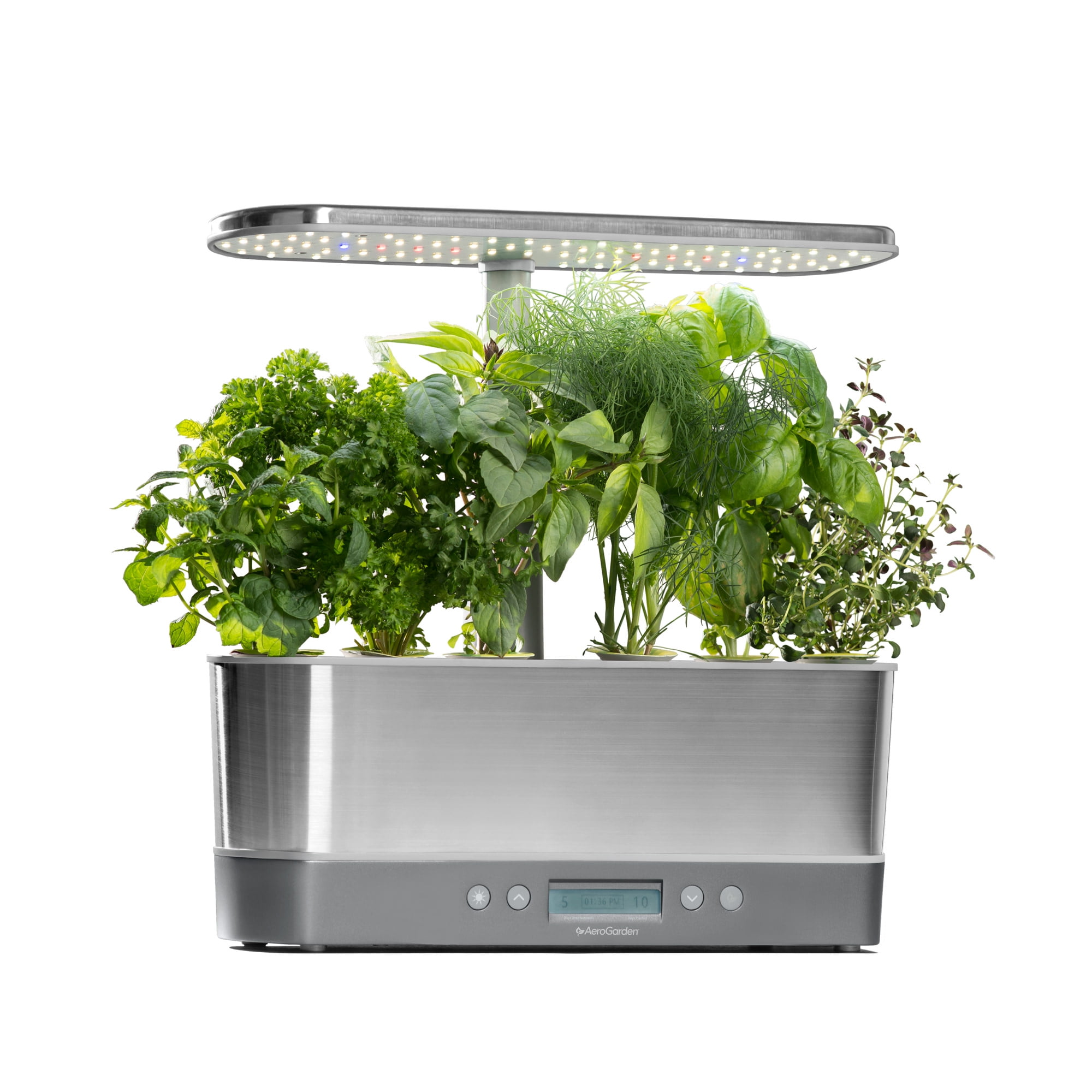 AeroGarden Harvest Elite Slim, Stainless with Gourmet Herbs Seed Kit