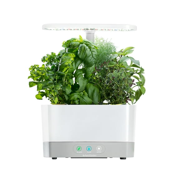 AeroGarden Harvest, White with Gourmet Herbs Seed Kit