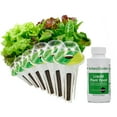 thumbnail image 1 of AeroGarden Heirloom Salad Greens Seed Pod Kit (6-Pod), 1 of 5