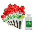 thumbnail image 1 of AeroGarden Red Heirloom Cherry Tomato Seed Pod Kit, 6-Pod, 1 of 6