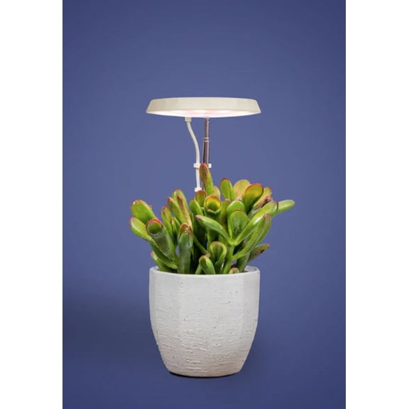 AeroGarden Stem Grow Light Cream White 5.71x4.33x1.30 in MPN 980201-0100