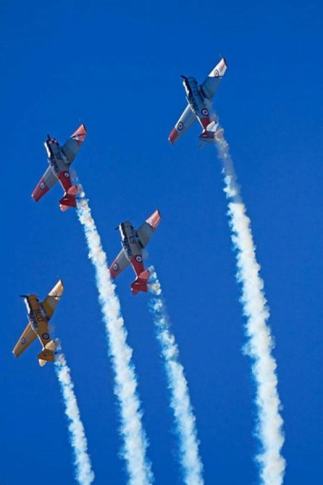 Aerobatic display by North American Harvards or T-6 Texans or SNJ Airshow Canvas Art - David Wall DanitaDelimont (18 x 26)