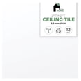 thumbnail image 1 of Aerolite Silicate Waterproof Ceiling Tiles - Non-Cementitious, Non-Combustible Cal-Si Panels with Densified Edges - Superior Durability, Thermal Insulation, Sound Absorption, 24x24, 1 of 7