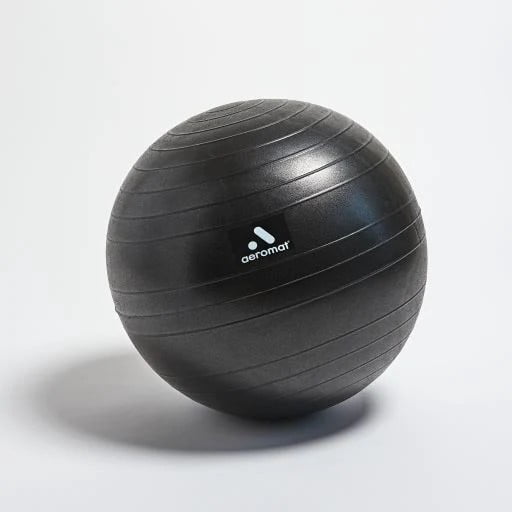 Aeromat 75051  49 cm Replacement Ball for Fit Chair.