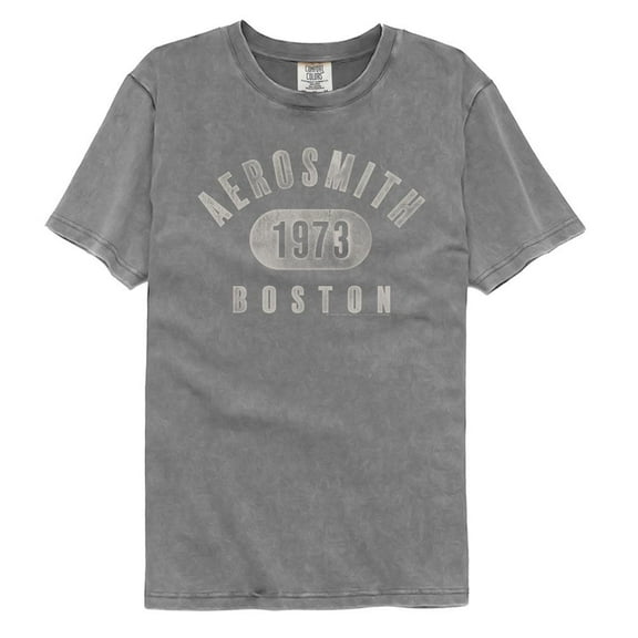 Aerosmith 1973 Boston Gray Adult S/S Comfort Color Tshirt L